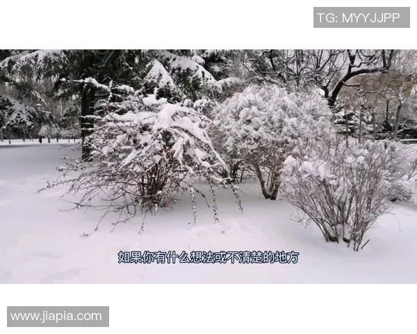 北京乒乓球队控制策略解析与热点动态深度剖析