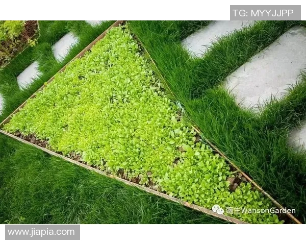 从草地到绿茵场足球明星与母亲的温情岁月与奋斗历程